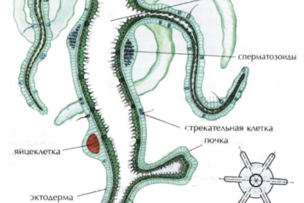 Кракен прямая ссылка