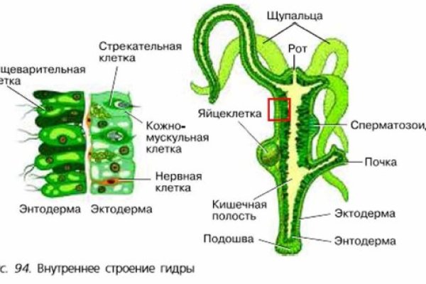 Омг анион зеркало