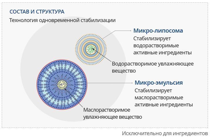 Прямая ссылка на мегу в тор